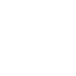 Bunny Island Key West